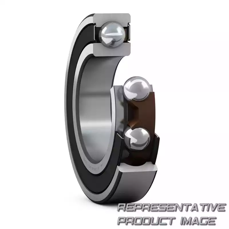 6004-2RS1-TN9/C4-VT113